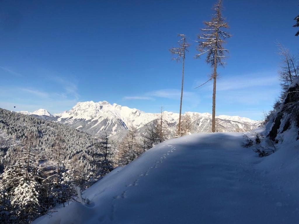 Appartementhaus Alma エクステリア 写真
